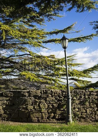 Bend Lamp In A Park With Trees.