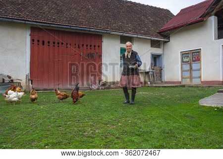 Salaj/romania - May 16, 2018: Old Lady Feeding Her Chickens In The Yard In Countryside