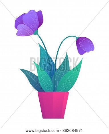 Beautiful Flower In Pot. Violet Potted Tulip With Leaves Icon Isolated On White Background. Colorful