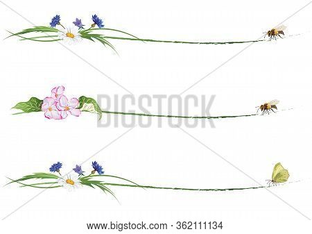 Set Of Floral Dividers With Bee, Butterfly, Flowers Of Apple And Wild Flowers