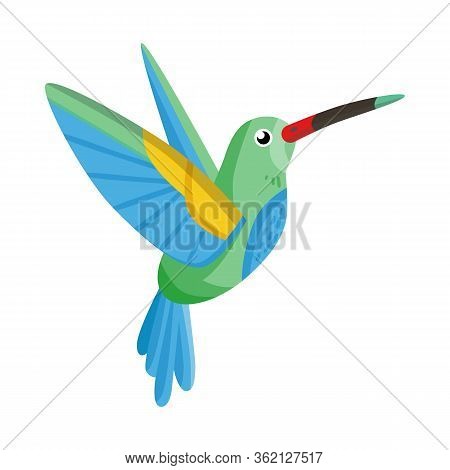 Vector Illustration Of Hummingbird And Bird Icon. Set Of Hummingbird And Flying Stock Symbol For Web