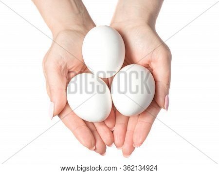 Woman Hands With White Eggs Isolated On White Background, Concept