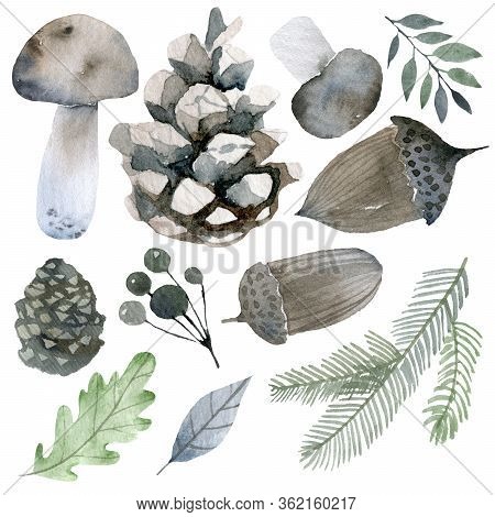 Handsketched Elements Of Northern Forest. Hand Drawn Nordic Set. Collection Of Animals, Florals, Flo