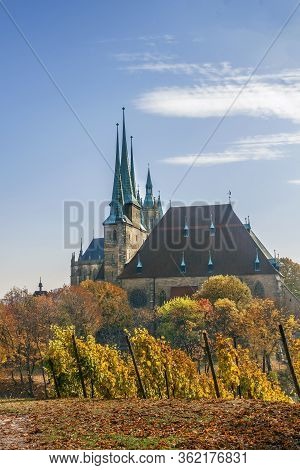View Of Erfurt Cathedral From Vineyard, Germany
