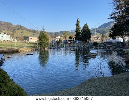 A Private Pond With Ducks And Other Related Aquatic Bird Species, Einsiedeln - Canton Of Schwyz, Swi
