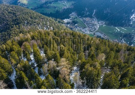 Aerial View Of Huge Valley Of The Mountains Of Italy, Trentino, Green Meadows, Slopes With Green Spr