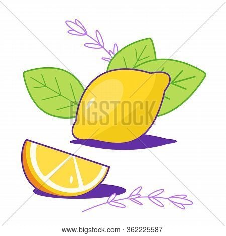Group Of Bright Fresh Lemons With Leaves. Citrus, Half Of Lemon, Chopped Lemon. Lemon Slice. Print, 