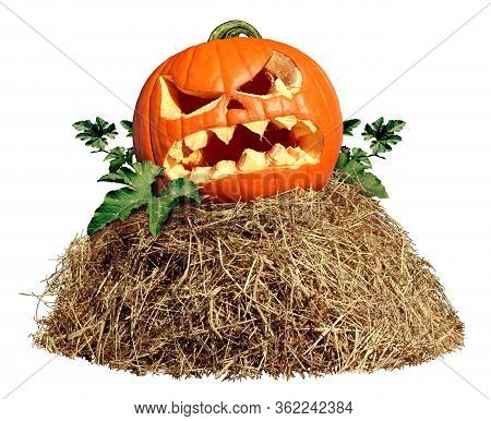 Halloween Hay Pile With A Carved Pumpkin Isolated On A White Background As An Agriculture Farm And F