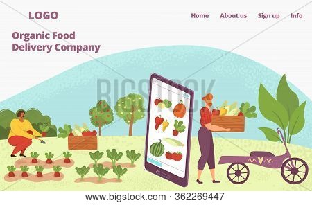 Web App For Organic Food Delivery, Healthy Natural Vegetables And Fruits For Vegeterians Web Page Fl