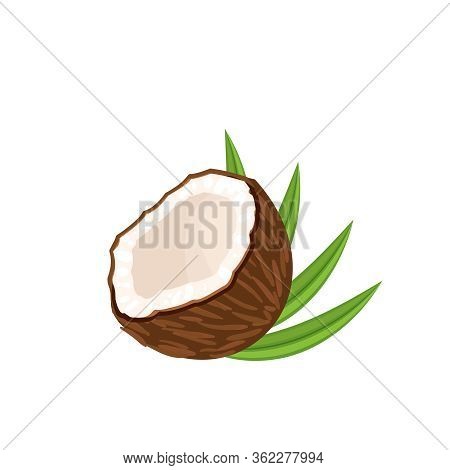 Coconut, Half Fruit And Leaves. Vector Illustration Cartoon Flat Icon Isolated On White.