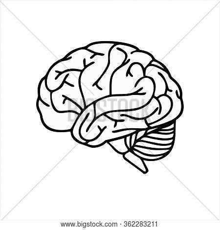 Brain Icon Isolated On White Background. Brain Icon In Trendy Design Style. Brain Vector Icon Modern