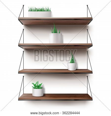 Wooden Shelves Hanging On Ropes With Plants In Ceramics Pots. Front Racks On White Wall Background. 