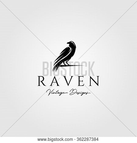 Raven Or Crow Bird Logo Vector Illustration Design