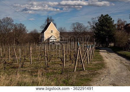 Small Chapel Of Assuption Of Virgin Mary, Surrounded By Nature And Vineyard. Blue Sky With White Clo