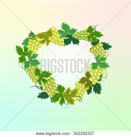 Bunches Of Grapes In The Design Of Postcards.greeting Card With Vine And Text.