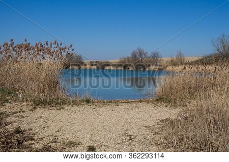 Calm Almost Spring Day. Lake Of A Bright Blue Color, The Same As Sky. Reed On The Coast. Nature On T