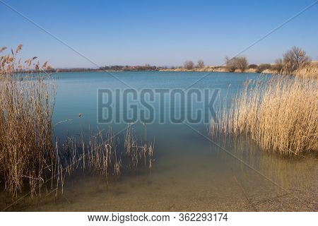 Calm Almost Spring Day. Lake Of A Bright Blue Color, The Same As Sky. Reed On The Coast. Nature On T