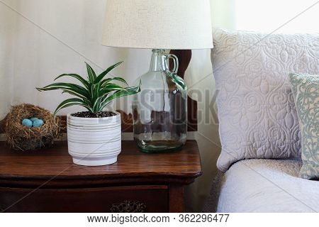Farmhouse Style Bedroom With Potted White Jewel, Dracaena Deremensis, Houseplant On An Antique Washi