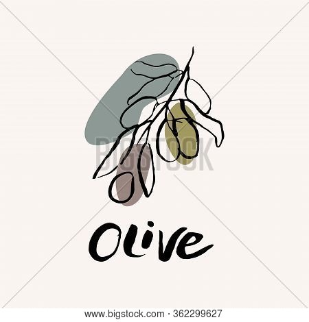 Olive Black And White Vector Hand Draw Sketch With Colored Spots. Hand Lettering Text. Olive Icon Lo