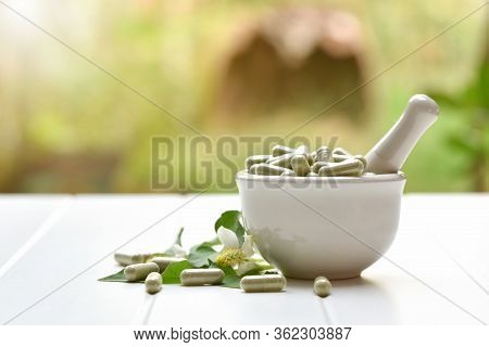 Herbal Medicine In Capsules From Houttuynia Cordata Or Chameleon Fish Mint Leaf  On White Background