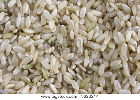 Golden Rose Brown Rice pozadí