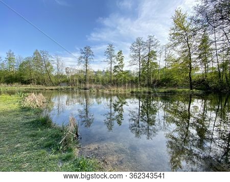 A Spring Landscape With Trees Along Small Lakes Or Ponds And The Glatt River - Zürich (zuerich Or Zu