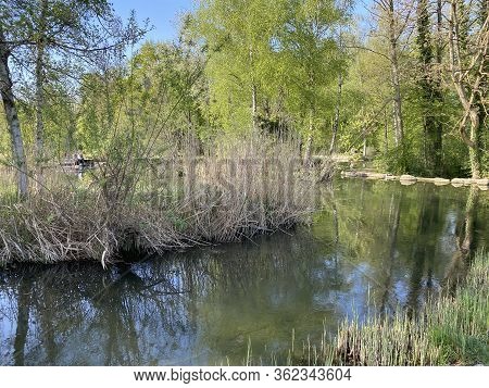 A Spring Landscape With Trees Along Small Lakes Or Ponds And The Glatt River - Zürich (zuerich Or Zu