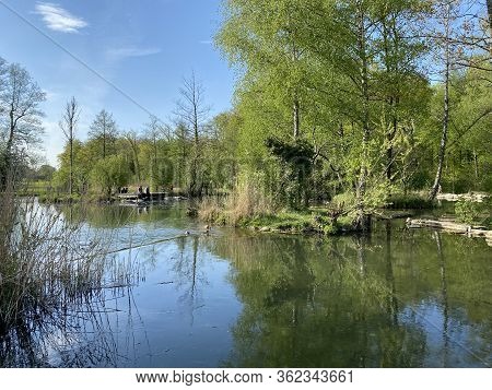 A Spring Landscape With Trees Along Small Lakes Or Ponds And The Glatt River - Zürich (zuerich Or Zu