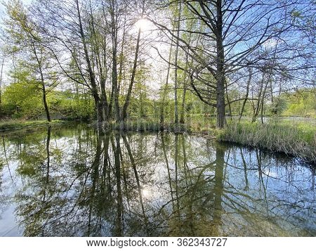 A Spring Landscape With Trees Along Small Lakes Or Ponds And The Glatt River - Zürich (zuerich Or Zu