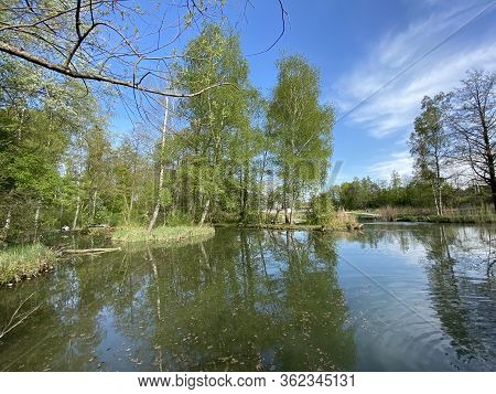 A Spring Landscape With Trees Along Small Lakes Or Ponds And The Glatt River - Zürich (zuerich Or Zu