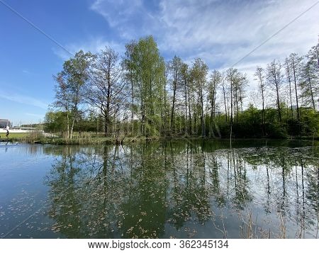 A Spring Landscape With Trees Along Small Lakes Or Ponds And The Glatt River - Zürich (zuerich Or Zu