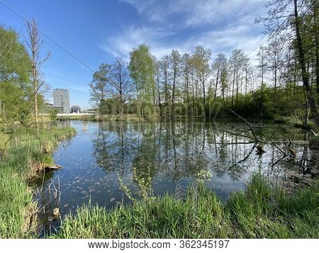 A Spring Landscape With Trees Along Small Lakes Or Ponds And The Glatt River - Zürich (zuerich Or Zu