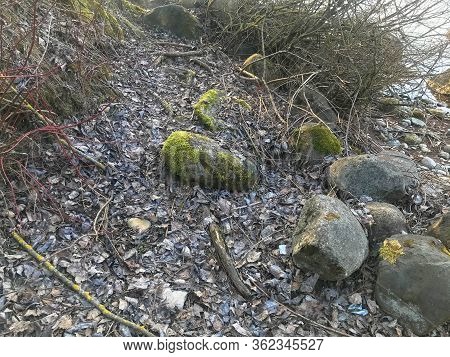 Large Round Beautiful Natural Stones Cobblestones Covered With Green Moss In The Forest.
