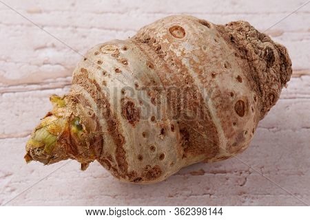 Speciosum Arizem Bulb Before Planting In Spring Close-up On A Light Wooden Background.