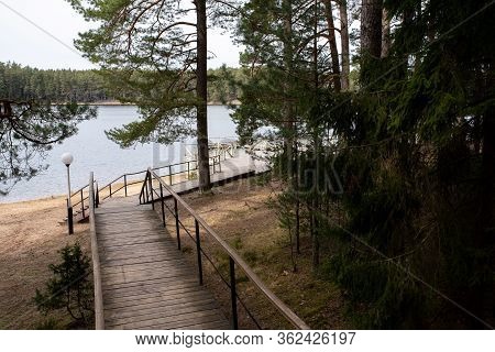 Ladder To The Lake Through The Forest