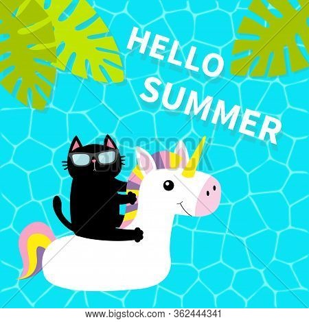 Black Cat Floating On White Unicorn Pool Float Water Circle. Swimming Pool Water. Hello Summer. Top 