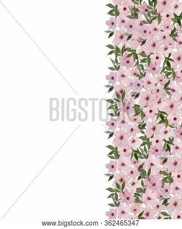 Mothers Day Floral Background, Pink Watercolor Flowers Border With Copy Space, Festive Floral Decora