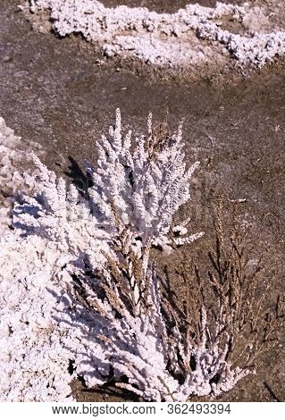 Kalush, Ukraine, 2020: Potassium Salts Withdrawal From Soil. Gray Soil, Ore. The Only One In The Wor