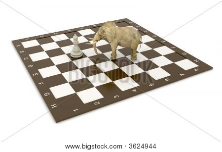 Elefante e xadrez