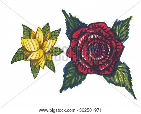 Rose, Great Design For Any Purposes. Flowers Design.