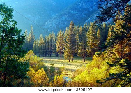 Zumwalt Meadows