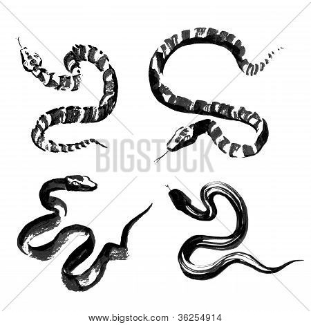 Serpenti nello stile della pittura tradizionale cinese dell'inchiostro