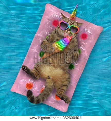 The Beige Cat Unicorn In A Heart Shaped Sunglasses Is Lying On A Pink Air Bed And Eating A Rainbow I