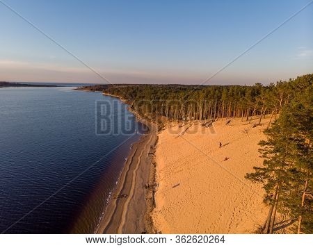 Beautiful Drone Areal Photography View Of Large Dune And Pine Forest Near River Lielupe. Photo Taken