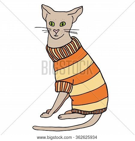Outline Cat In Sweater Sitting. Hand Drawn Cartoon Colored Contour Vector Illustration. Cute Bold Ki