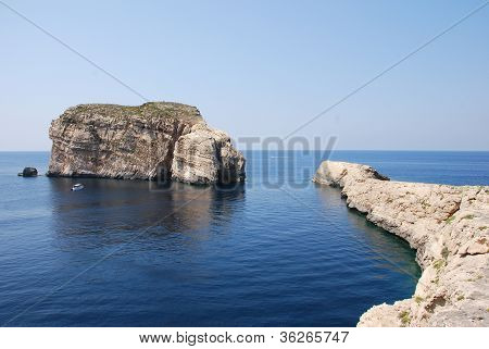 Fungus rock