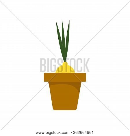 Vector illustration of a bulb in a flower pot on a white isolated background. Vegetable culture in the garden. Flat design of the item without filling. Vector and stock illustration.