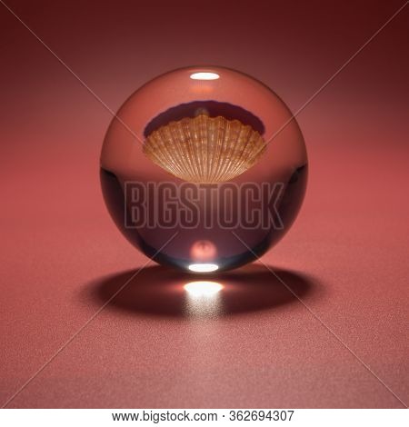 Seashell In A Glass Ball On A Pink Background