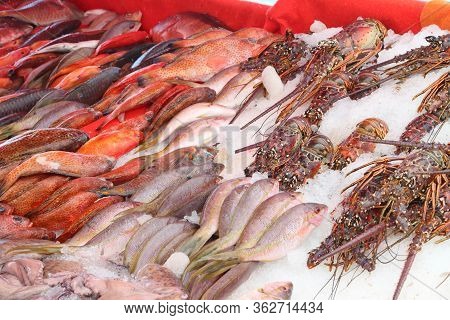 Guadeloupe Fish Market In Pointe A Pitre, Biggest City Of Guadeloupe. Red Snappers, Sea Bream And La
