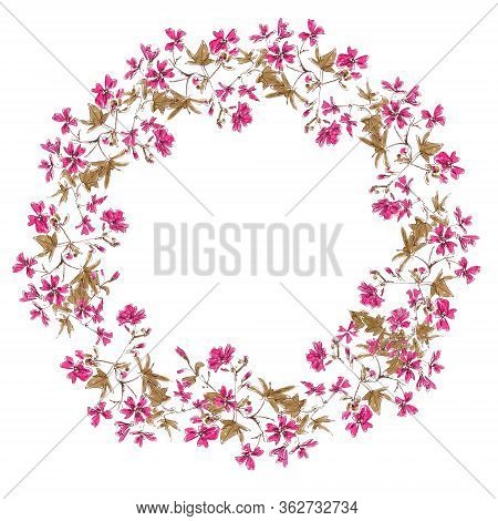 Wreath From Drawing Blooming Pink Wild Malva Silvestris With Copy Space